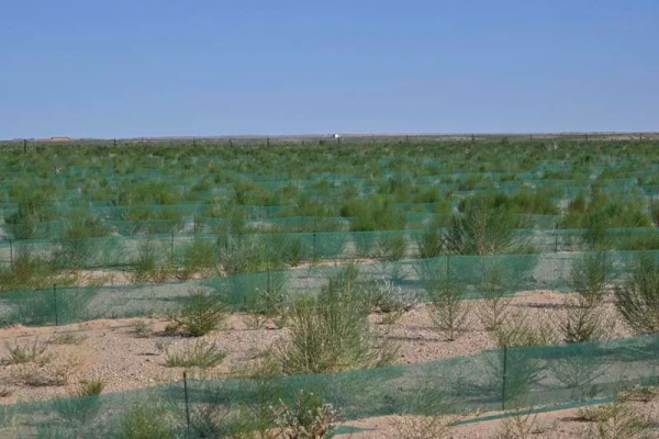 在线配资炒股开户服务 内蒙古自治区乌拉特后旗：以“户禁、村养、乡管”之力护绿生金